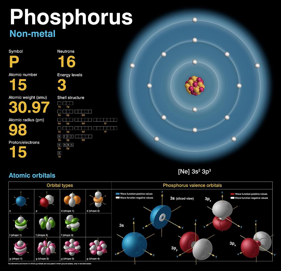 molar mass of phosphorus periodic table