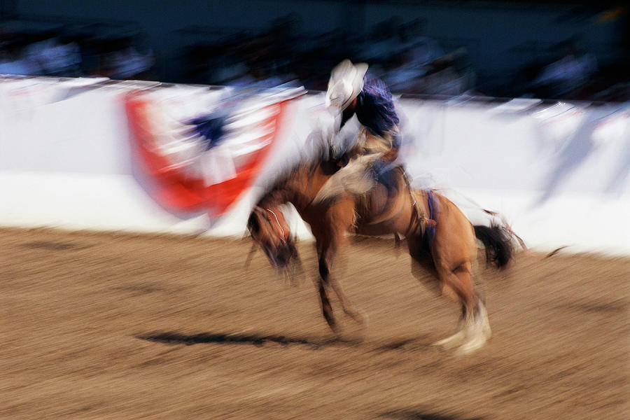 Photo Impression Of Bronco Rider Photograph by Panoramic Images