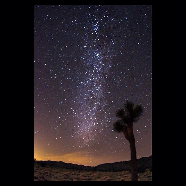 Nature Photograph - Photo Of Milky Way In Joshua Tree by Mark Jackson