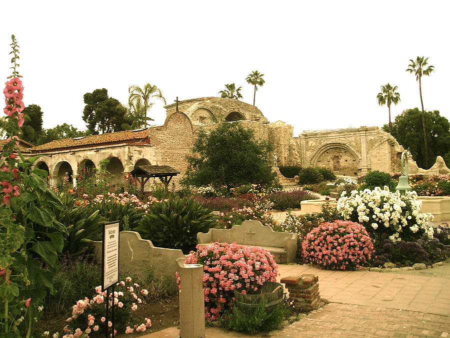Palm Trees Photograph - Photo of Mission SJC Overview by Jan Mecklenburg