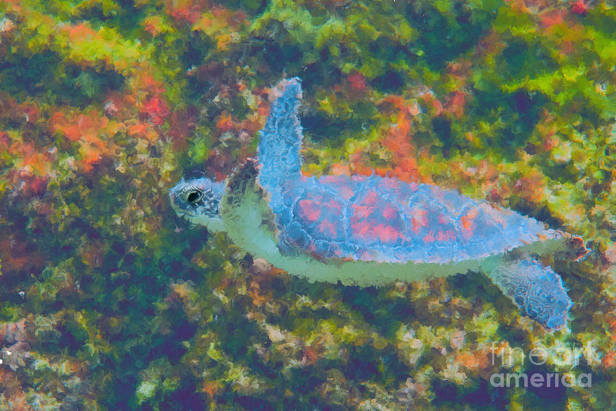 Photo painting of sea turtle Photograph by Dan Friend