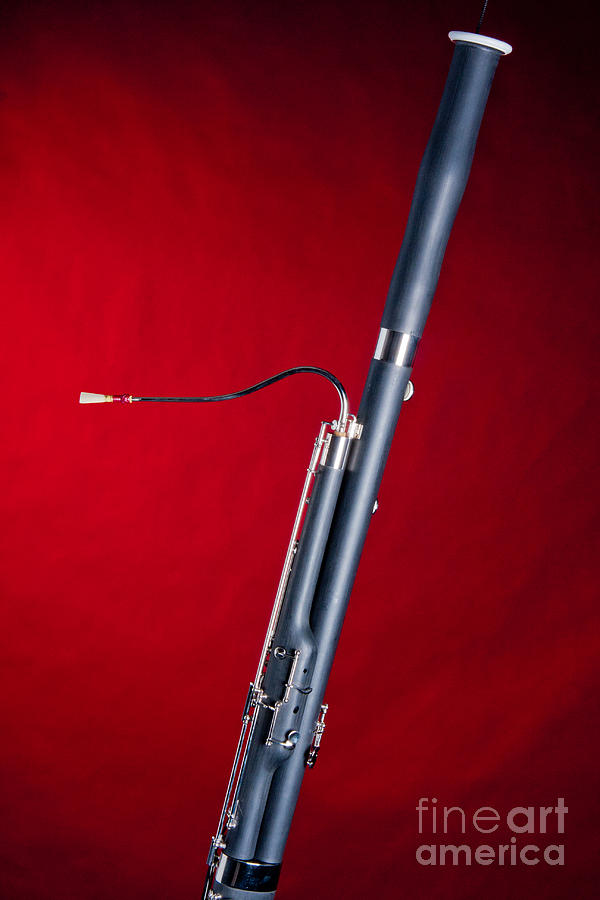 Music Photograph - Bassoon Music Instrument Fine Art Prints Canvas Prints Greeting Cards in color 3408.02 by M K Miller