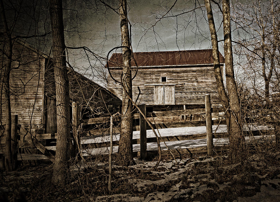  Country Barn Belvidere NJ Photograph by Femina Photo Art By Maggie