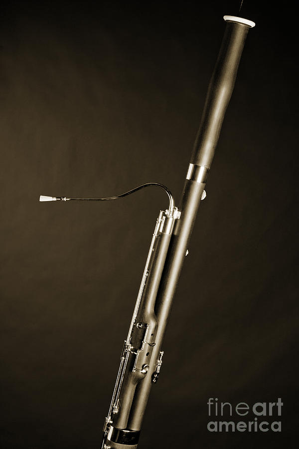 Bassoon Music Instrument Fine Art Prints Canvas Prints Greeting Cards in Sepia 3408.01 Photograph by M K Miller