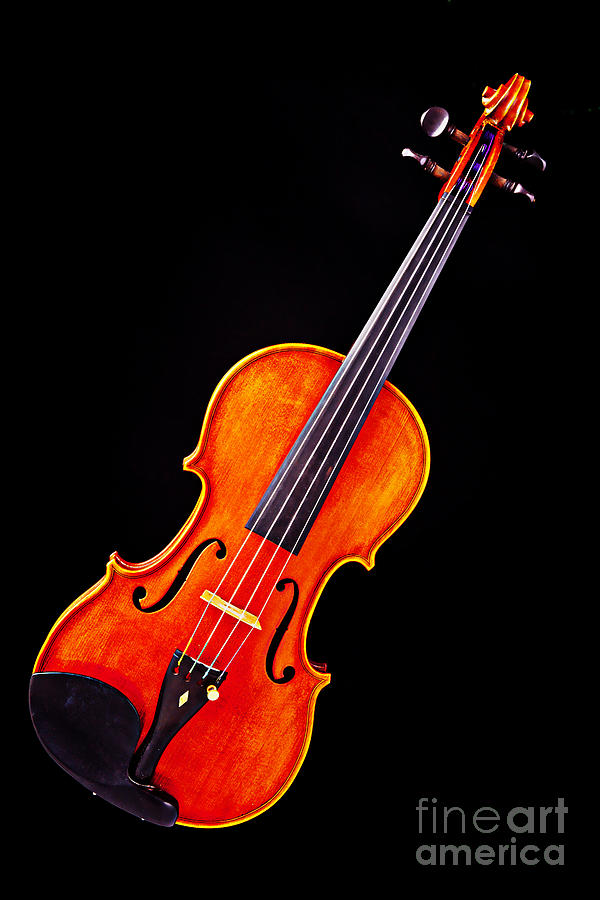 Photograph of a Complete Viola Violin in Color 3368.02 Photograph by M K Miller