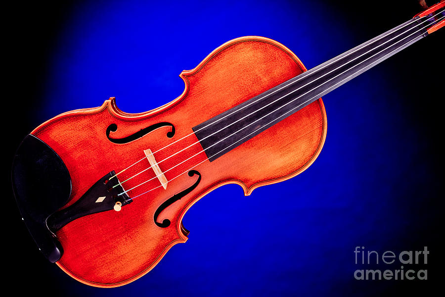Photograph of a complete Viola Violin in Color 3370.02 Photograph by M K Miller