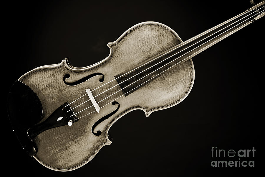 Photograph of a complete Viola Violin in Sepia 3370.01 Photograph by M K Miller