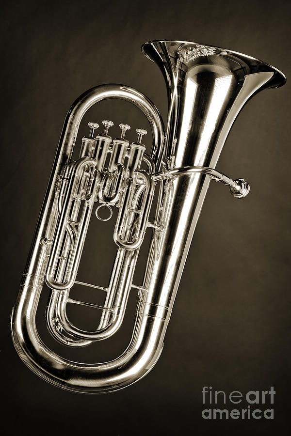 Photograph of a tuba brass music instrument in sepia 3280.01 Photograph by M K Miller