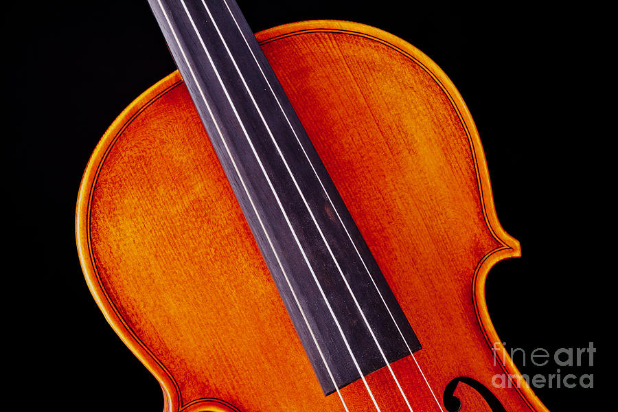 Photograph of a Upper Body Viola Violin in Color 3369.02 Photograph by M K Miller
