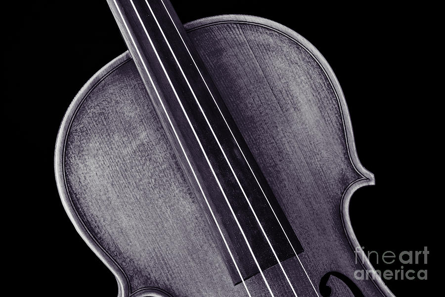 Photograph of a Upper Body Viola Violin in Sepia 3369.01 Photograph by M K Miller