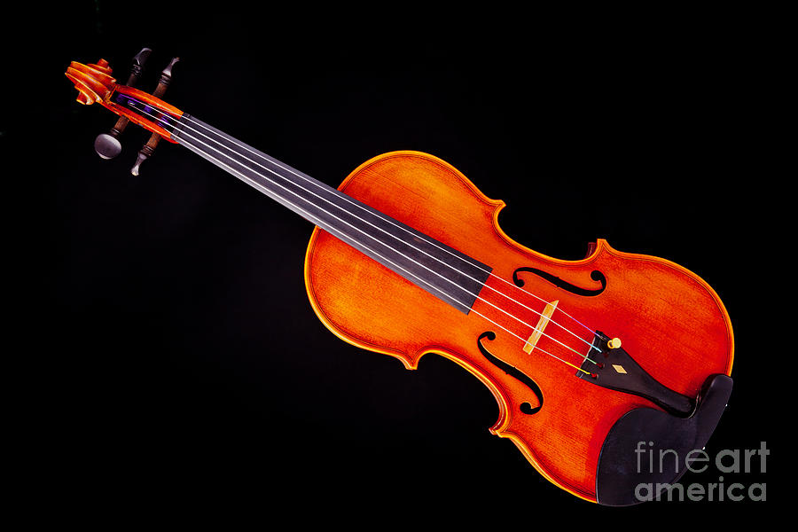 Still Life Photograph - Photograph of a Viola Violin Antique in Color 3376.02 by M K Miller