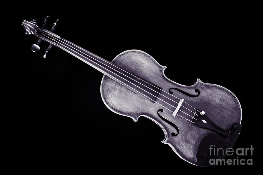 Photograph of a Viola Violin Antique in Sepia 3376.01 Photograph by M K Miller