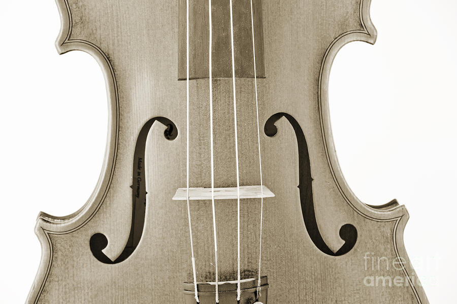 Photograph of a Viola Violin Middle in Sepia 3374.01 Photograph by M K Miller