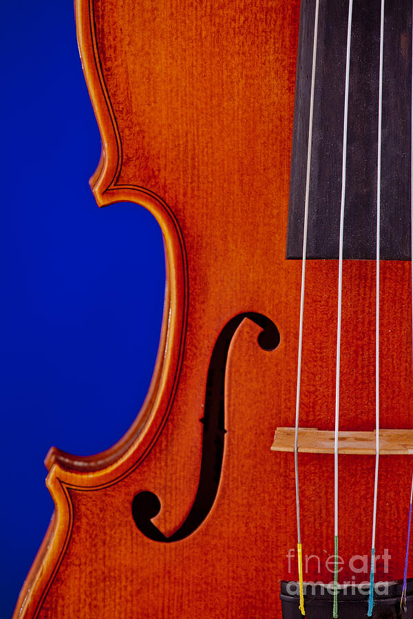 Photograph of a Viola Violin Side in Color 3372.02 Photograph by M K Miller