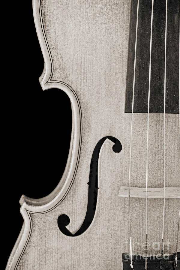 Photograph of a Viola Violin Side in Sepia 3372.01 Photograph by M K Miller
