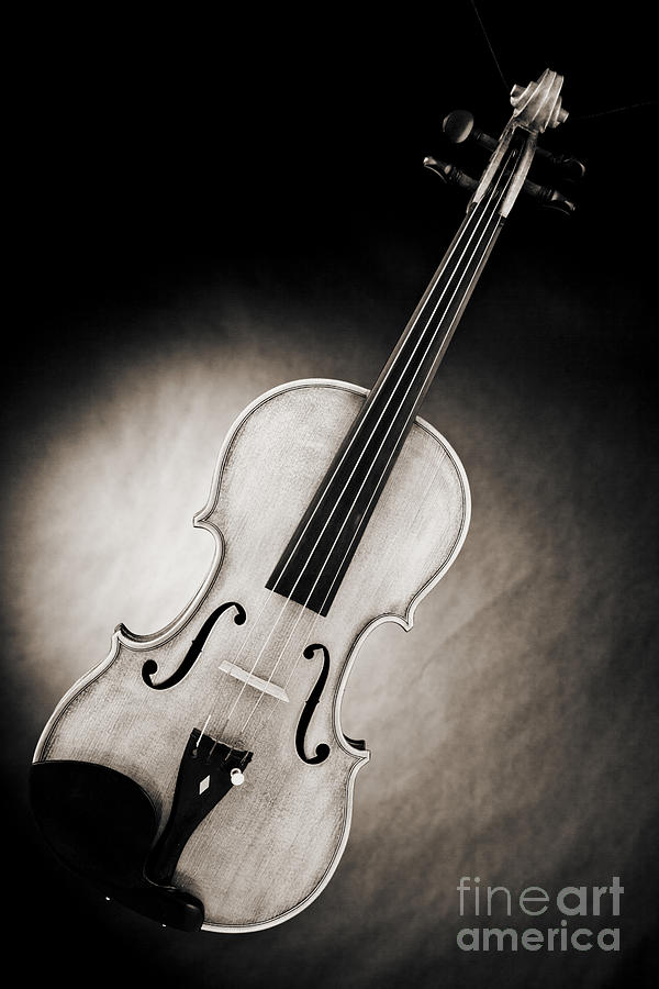 Still Life Photograph - Photograph of a Viola Violin Spotlight in Sepia 3375.01 by M K Miller