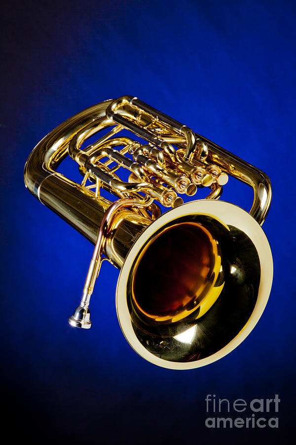 Photograph of Bass Tuba Brass Instrument in Color 3393.02 Photograph by M K Miller