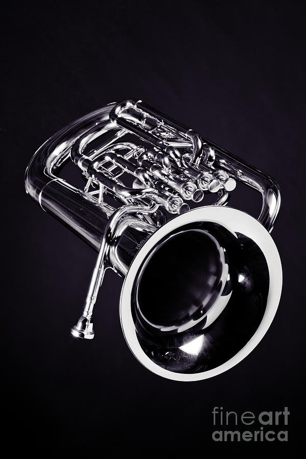 Photograph of Bass Tuba Brass Instrument in Sepia 3393.01 Photograph by M K Miller