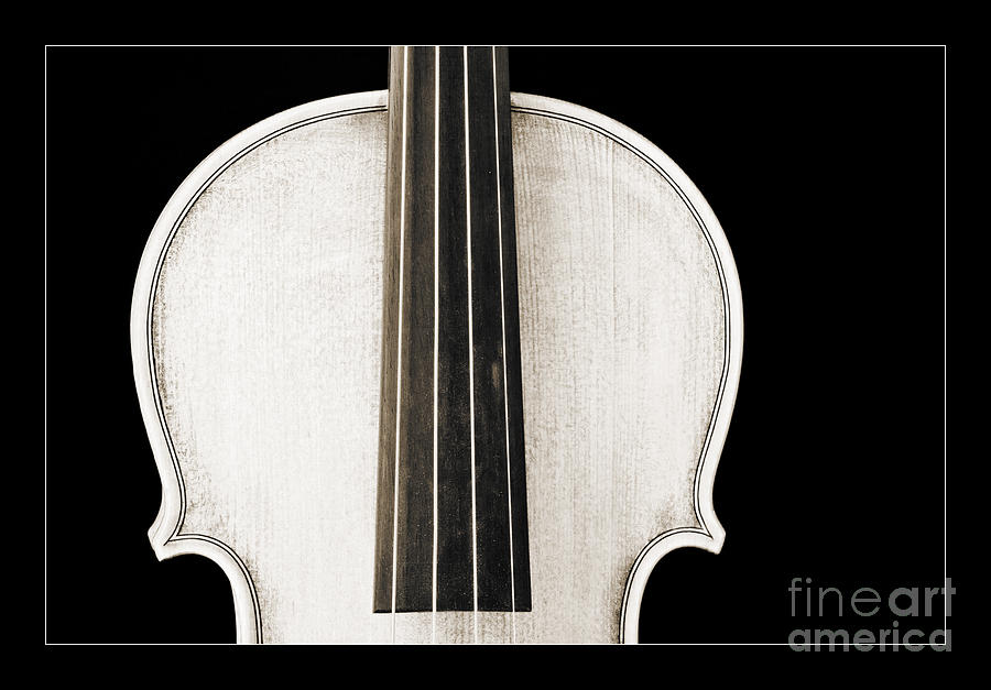 Black And White Photograph - Photograph or Picture Viola Violin Body in Sepia 3367.03 by M K Miller
