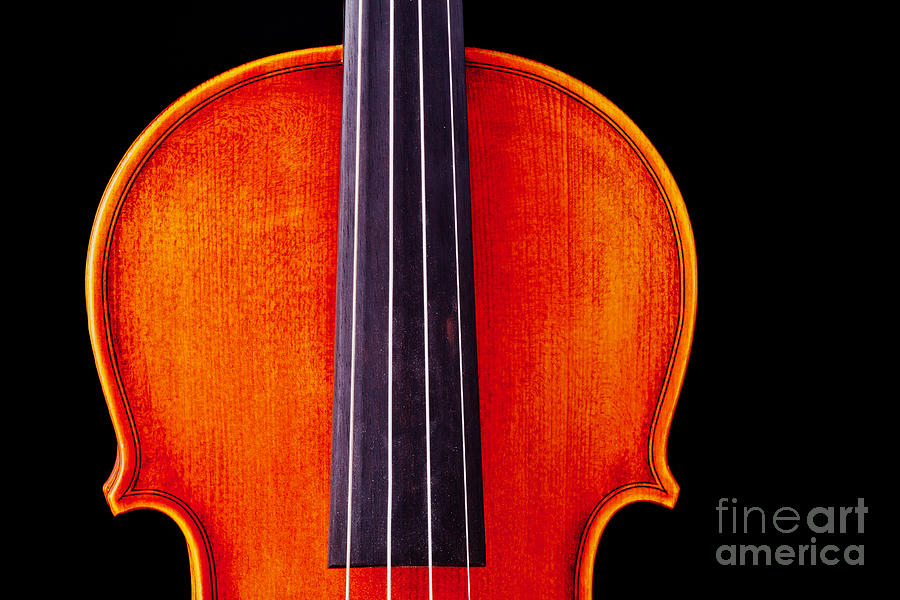 Photograph or Picture Violin Viola Body in Color 3367.02 Photograph by M K Miller