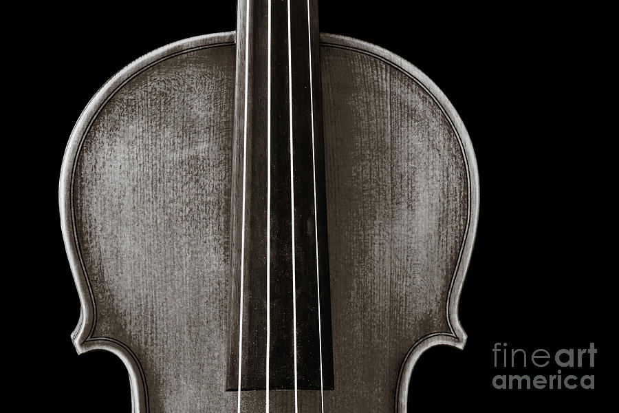 Photograph or Picture Violin Viola Body in Sepia 3367.01 Photograph by M K Miller