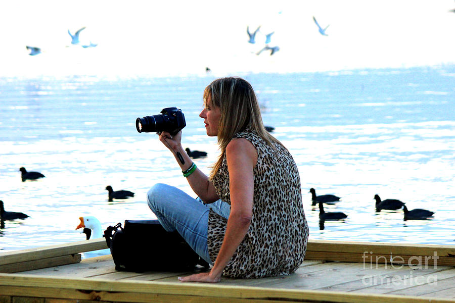 Photographing the Pelicans Photograph by Kathy  White