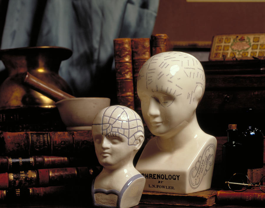 Phrenology Photograph by Brooks/brown
