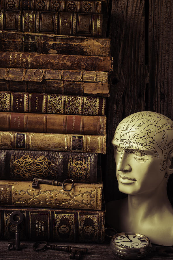 Vintage Photograph - Phrenology Head And Old Books by Garry Gay