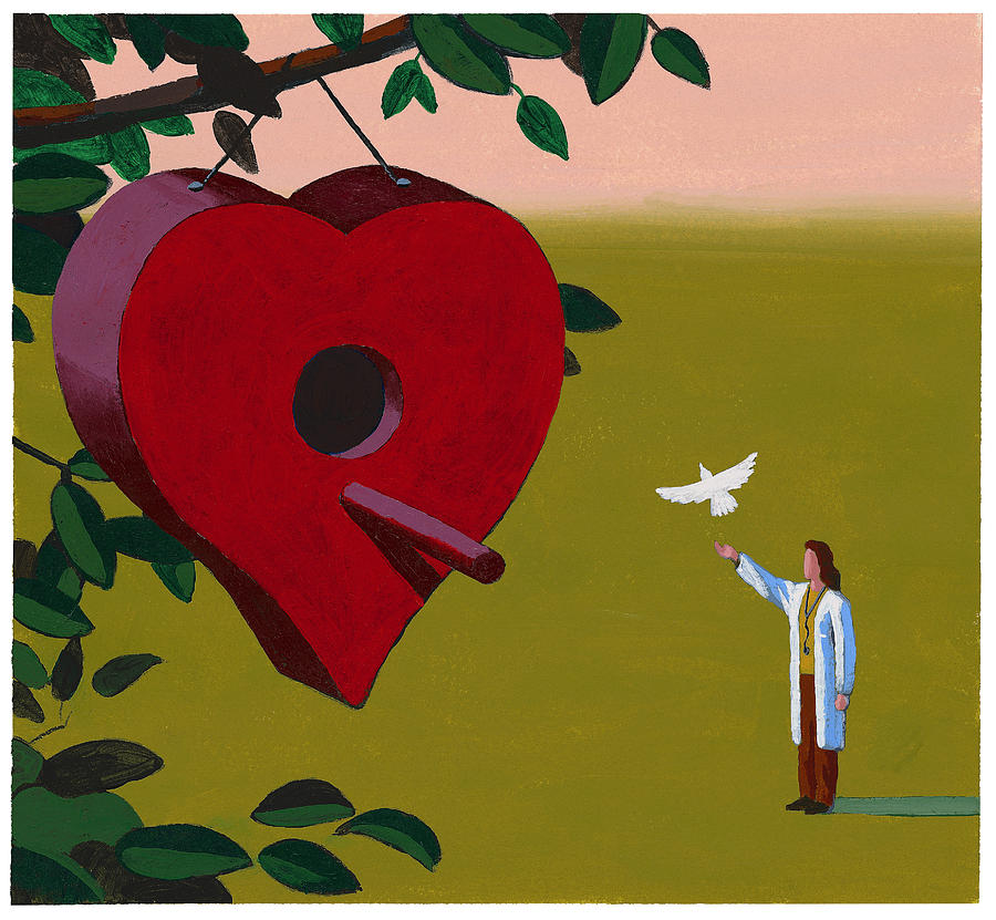 Physician Releasing Dove Drawing by Jonathan Evans