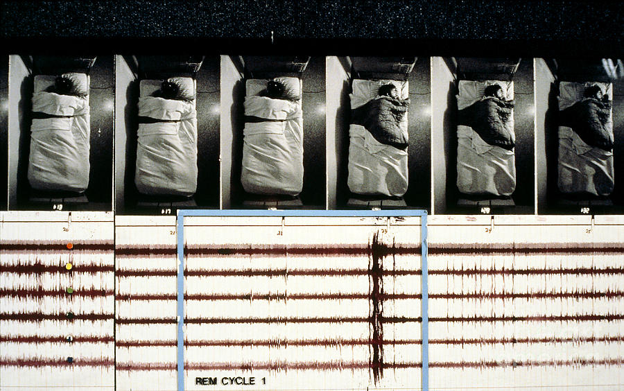 Polysomnography Photograph - Physiological Monitoring Sleep Research by Allan Hobson