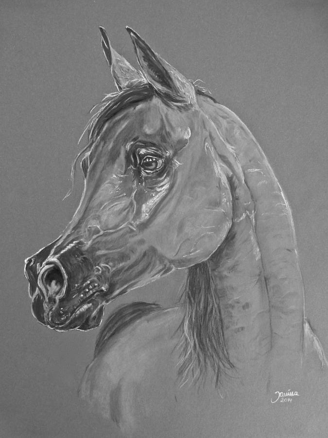 Horse Pastel - Pianissima by Janina  Suuronen