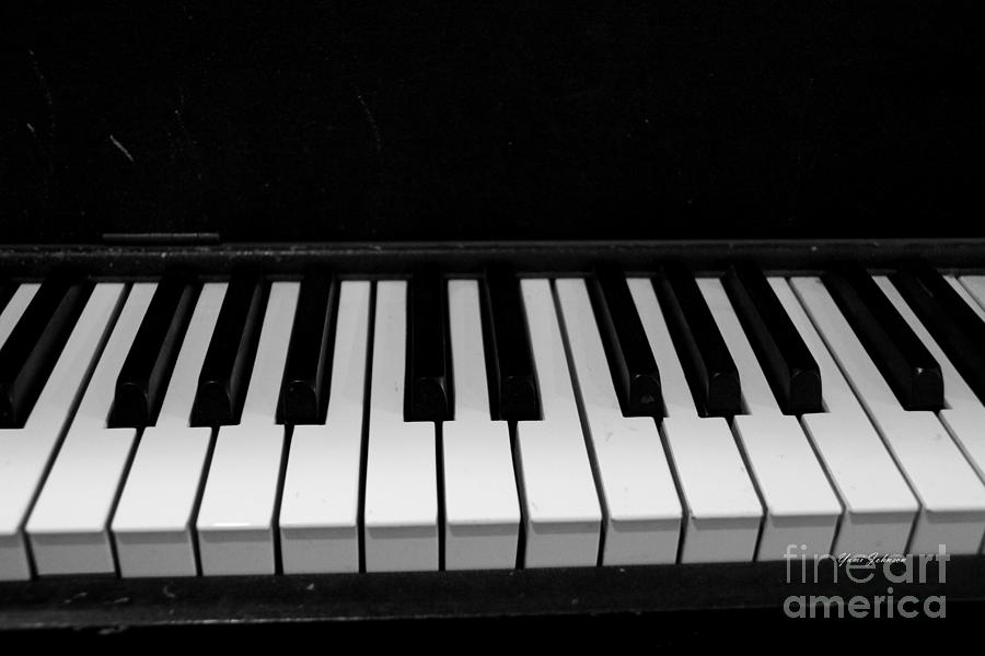 Piano Keys Photograph by Yumi Johnson