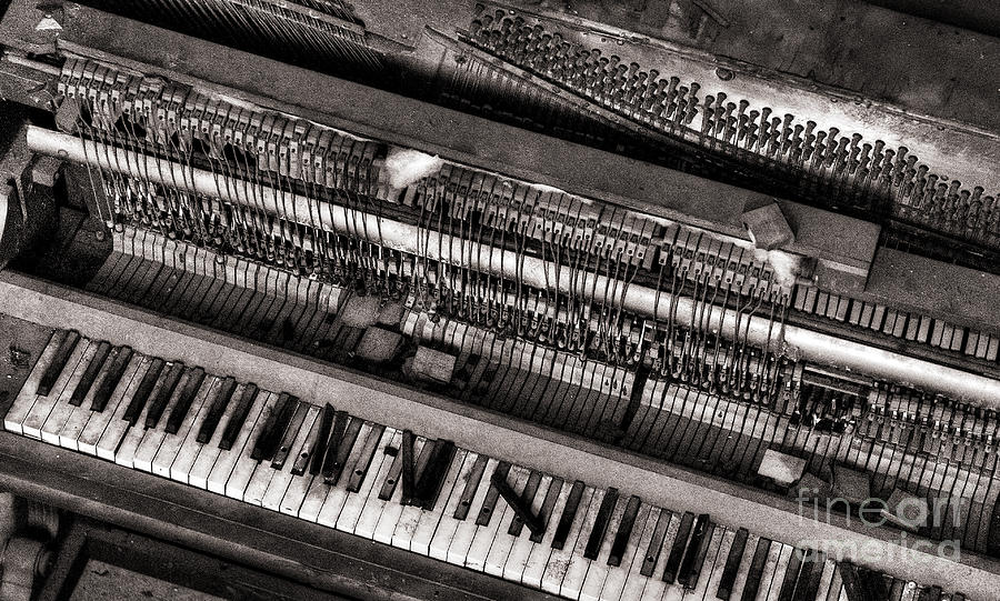 Piano Photograph by Russell Brown