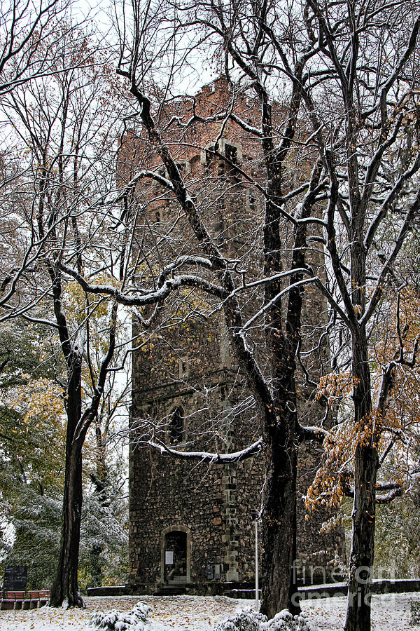 Castle Photograph - Piastowska Tower in Cieszyn by Mariola Bitner