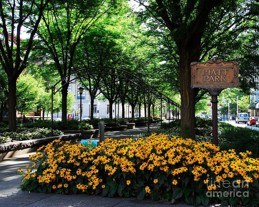 Piatt Park Photograph - Piatt Park 1 by Mel Steinhauer Piatt Park Photograph - Piatt Park 1 by Mel Steinhauer