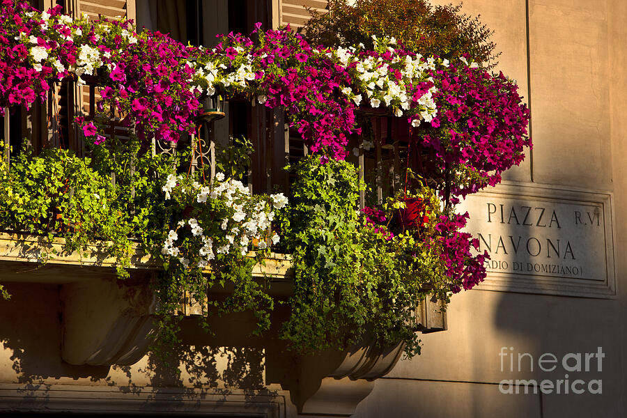 Piazza Navona Flowers Photograph by Brian Jannsen