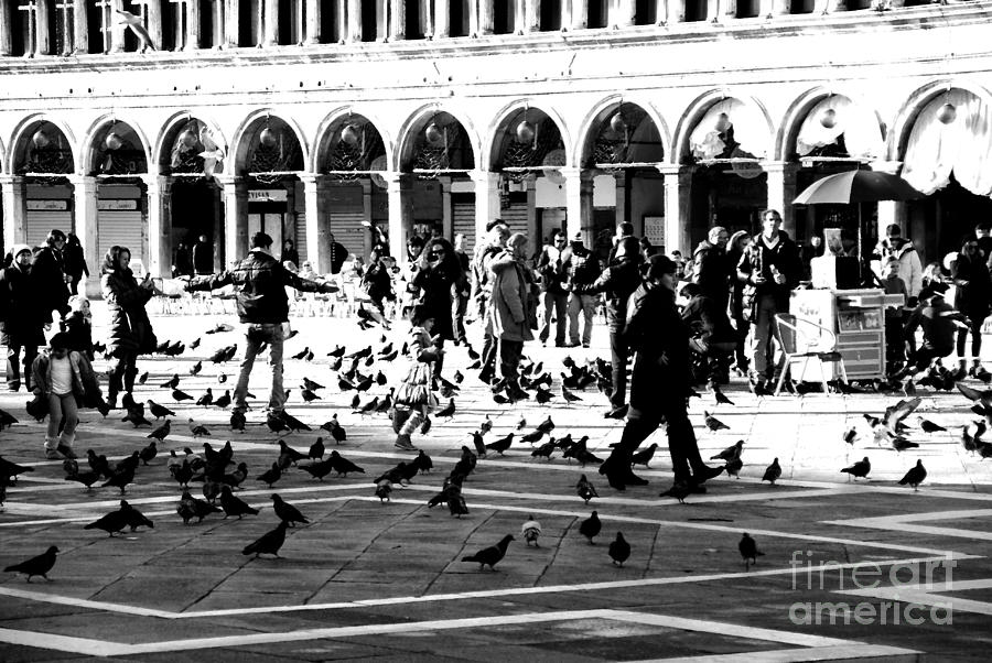 Piazza San Marco Frolic Photograph by Jacqueline M Lewis