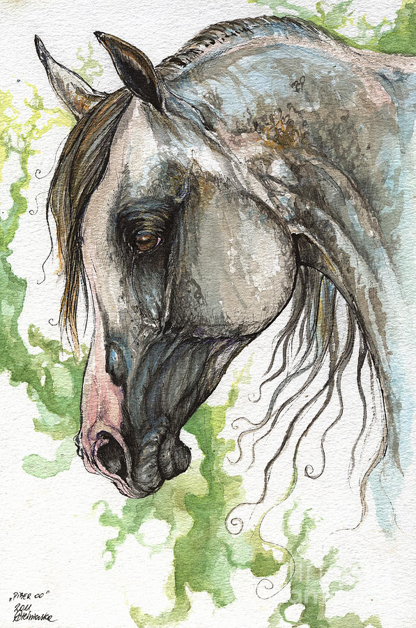 Piber polish arabian horse watercolor painting 2 Painting by Ang El