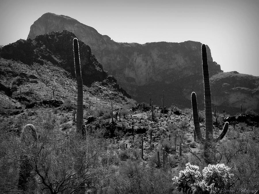Picacho Peak Black and White Photograph by Aaron Burrows
