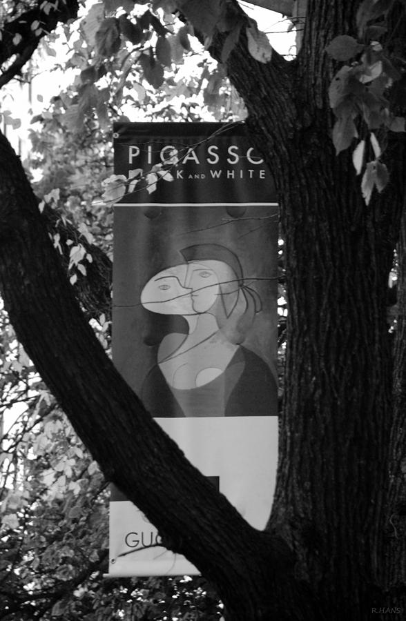 PICASSO in BLACK AND WHITE Photograph by Rob Hans