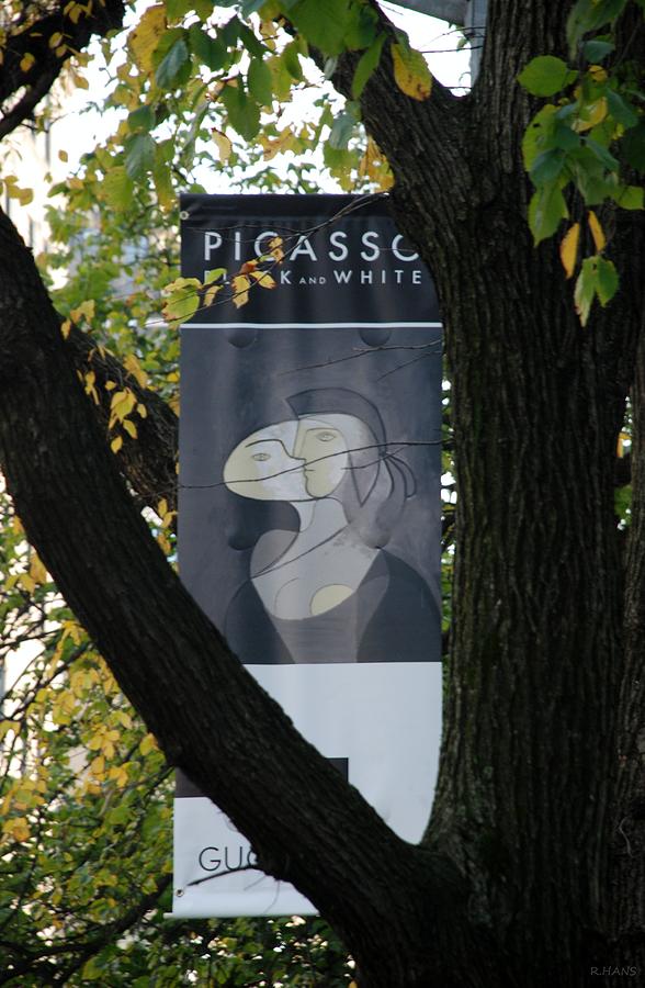 Picasso Photograph by Rob Hans
