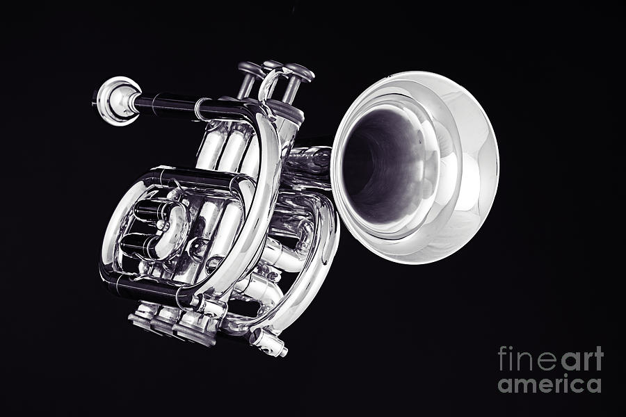 Trumpet Photograph - Piccolo Trumpet Isolated in Black and White 3020.01 by M K Miller
