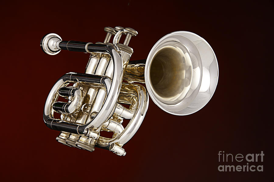Piccolo Trumpet Music Instrument in Color 3020.2 Photograph by M K Miller