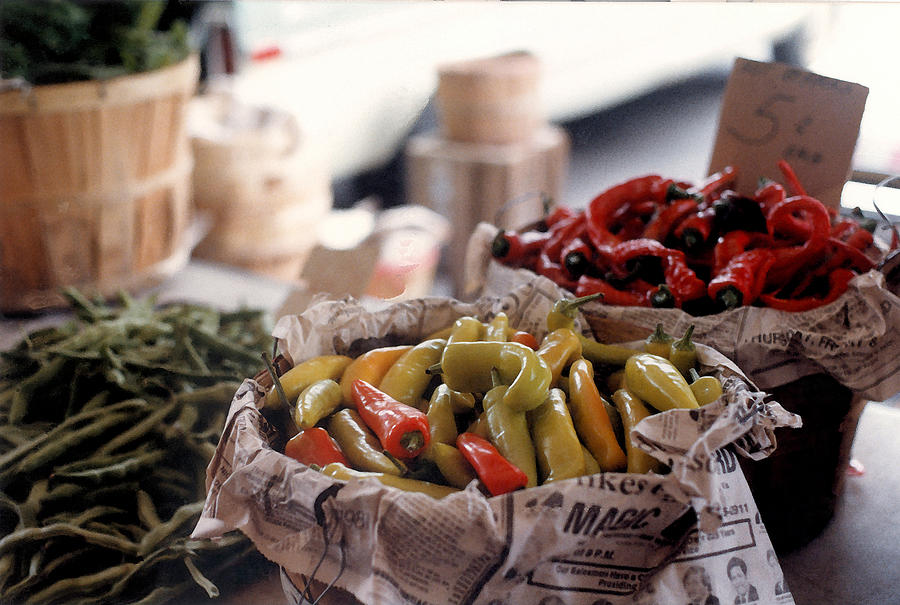 Pick A Pepper in Watercolor Photograph by Suzanne Gaff