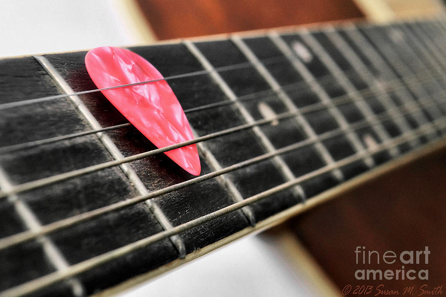 Pick Pink Photograph by Susan Smith