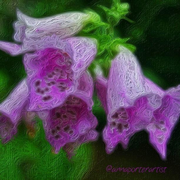 Flower Photograph - Pick Your Poison - Glazed Foxglove by Anna Porter