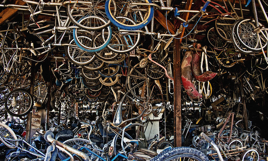 Pickers Place Bicycle Bliss Photograph by Lee Craig