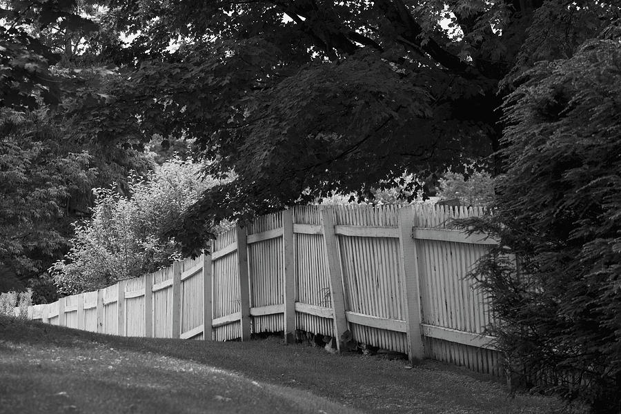Picket Fence  Knowlton, Quebec, Canada Photograph by David Chapman