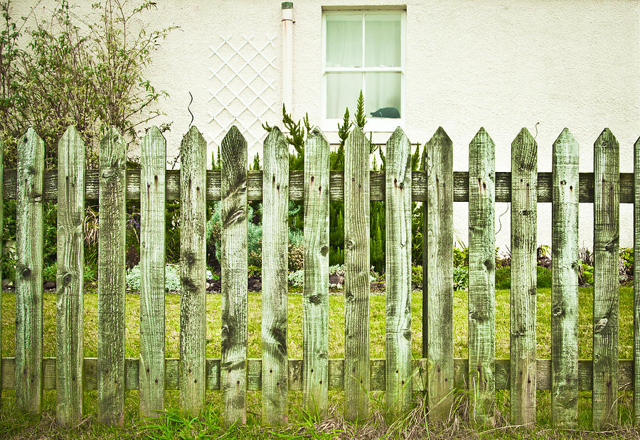 Cottage Photograph - Picket fence by Tom Gowanlock