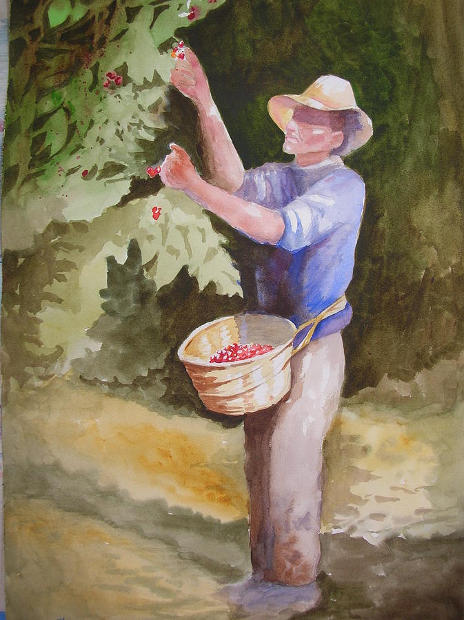 Picking coffee Painting by Barbara Parisien